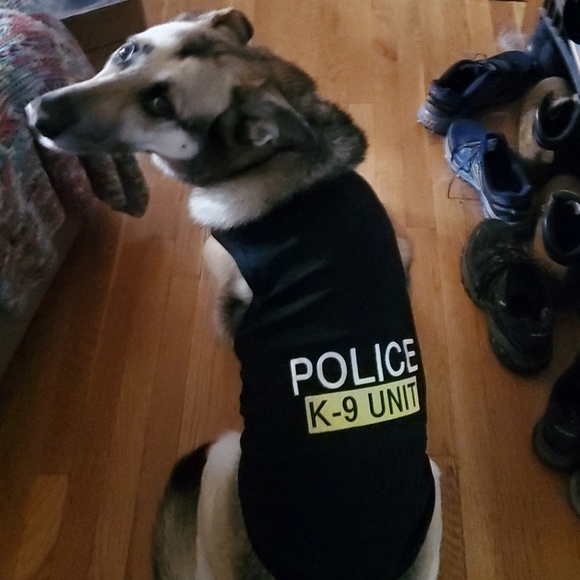 Meet your Posher, Jason - Picture 2 of 3